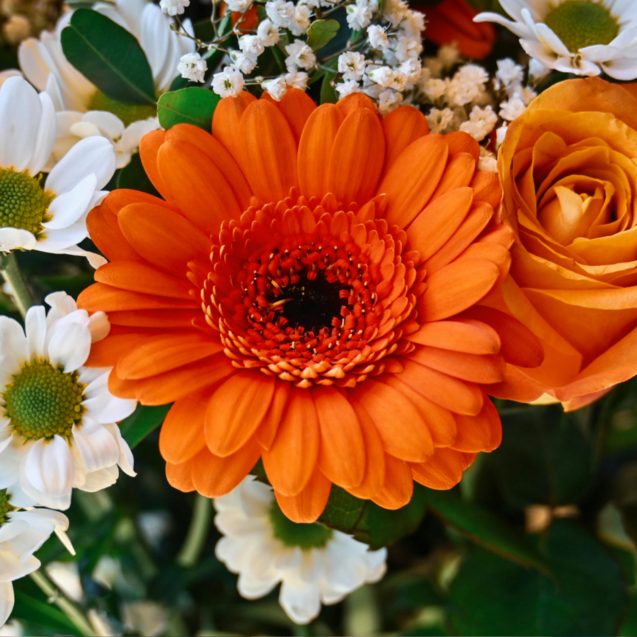 Father's Day Flowers